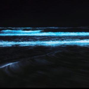 Ocean