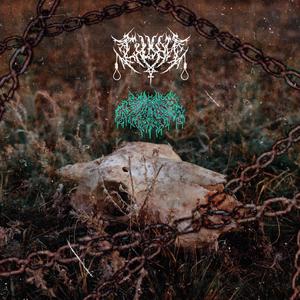 IMMORTAL (feat. Shaitan?)