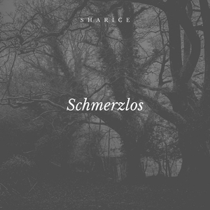 Schmerzlos