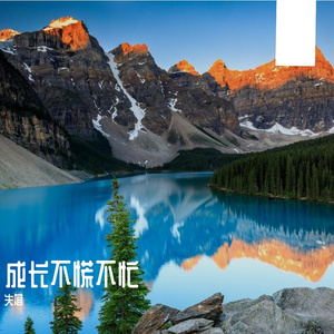 未来的我们会更好