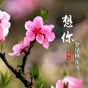 想你梦见桃花飞