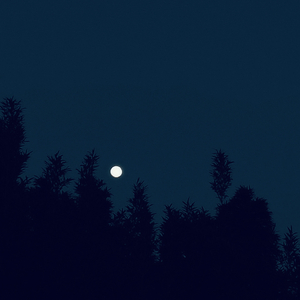 像匆匆赶路的人打了个照面.mp3