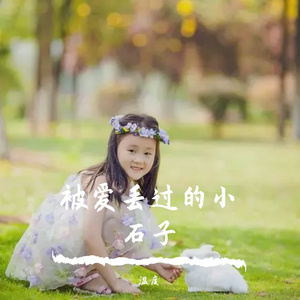 被爱丢过的小石子