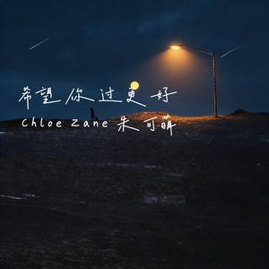 希望你过更好(正式翻唱)