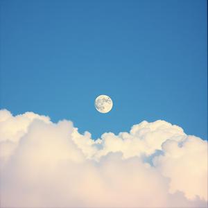 月光偷懒的夜晚