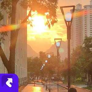 一起去看海 (现场)