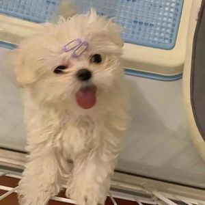 完美旅程(Prod.Gr33nart Beats)