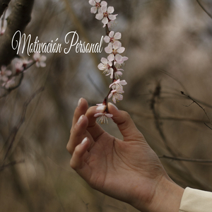 Horizonte Universales