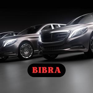 bibra