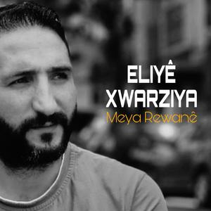 Eliyê Xwarziya | Enstrûmental