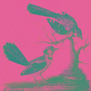 ur a ghost!! (im a ghost!!!)