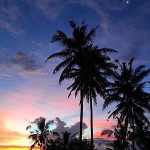 Ed Sheeran-Shape of You（蓝天 （伴奏） remix）