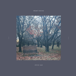 dead leaves