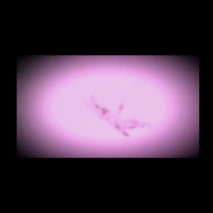 お金をくれてもええじゃないか