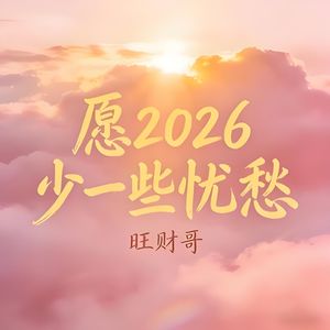 愿2026少一些忧愁