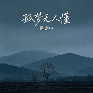 孤梦无人懂