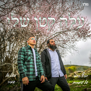 עלה קטן שלי