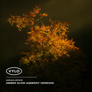 Lightray (Ambient Version)
