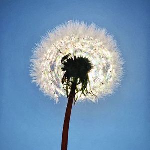 新事（prod by KAIKAI）