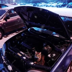 あたたかい場所 by nao