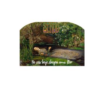 No Céu Chegou Uma Flor