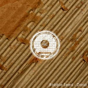 Daria (Original Mix)