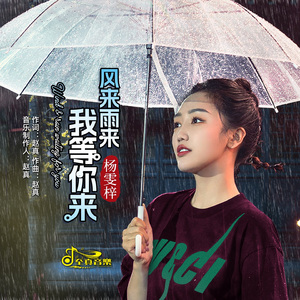 风来雨来我等你来（DJ默涵版）