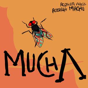 Mucha