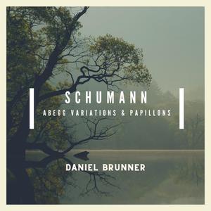 Abegg Variations Op. 1: Variation II. (il Basso parlando)