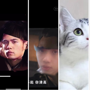 你了不起你清高