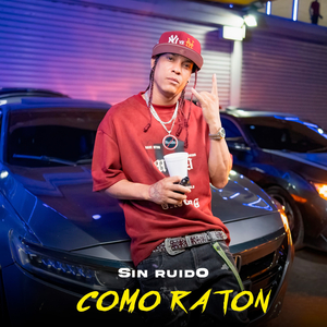 Como Raton