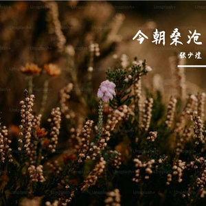 今朝桑沧 2022年10月1日