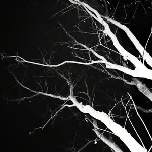 必需品(Prod NEONMUSIC)