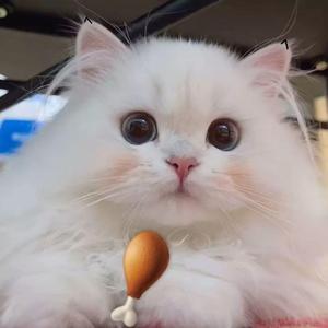 每个人都会