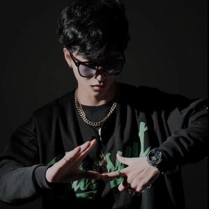 D. Wills-阿里山的哥哥（DJ Li remix）