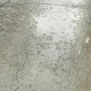 誰にだって訳がある（谁都有烦恼）（翻自 HARULEO）