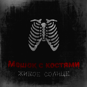 Мешок с костями