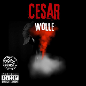 wolle