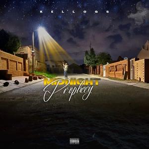 Ungena'mali (feat. Elvirgo, TallexQ & Zimmy)