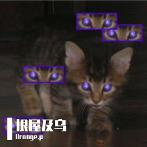 恨屋及乌(Prod.EVO MUSIC)