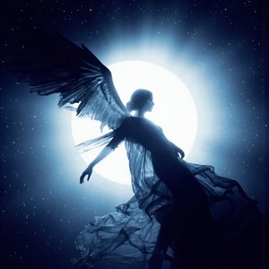 Fly Me to the Moon My Love