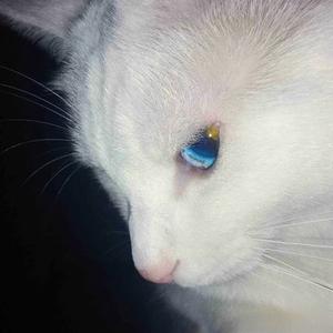 现在 你才不幸福