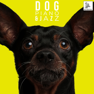 Peaceful Music For Pets