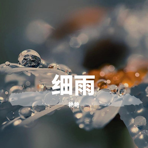 细雨 (2)