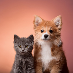 La Melodía De La Piel