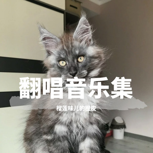 起风了