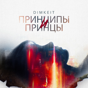 Принципы и принцы