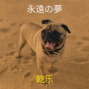 前向きに生きる