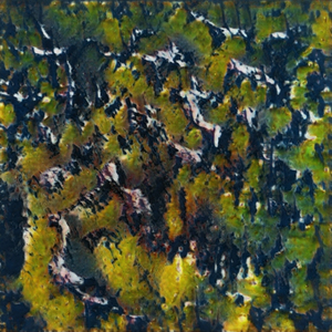 Innominate
