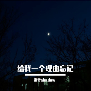 给我一个理由忘记